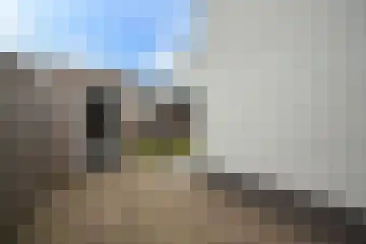 Lucashoef 6 Oost West en Middelbeers thumbnail 23