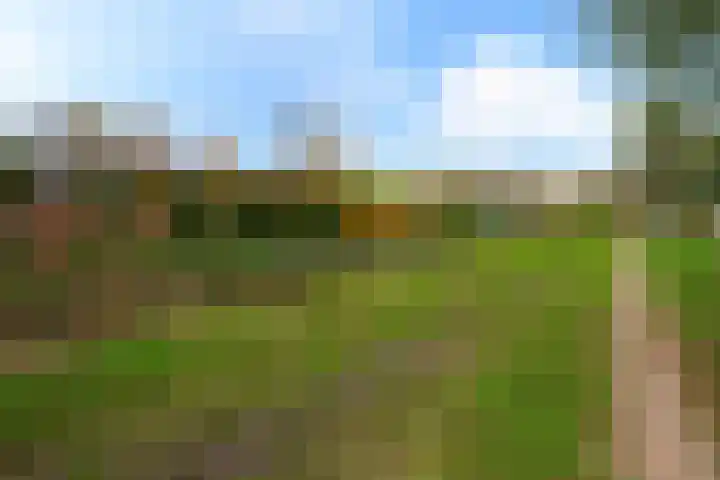 Lucashoef 6 Oost West en Middelbeers thumbnail 24