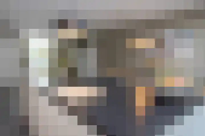 Lucashoef 8 Oost West en Middelbeers thumbnail 13