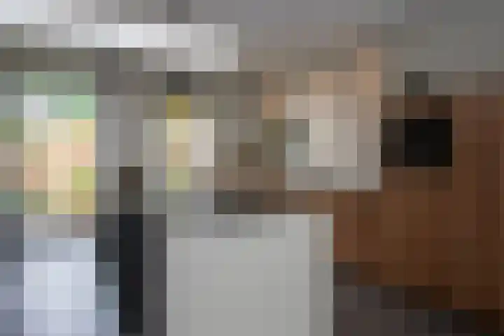 Lucashoef 8 Oost West en Middelbeers thumbnail 14