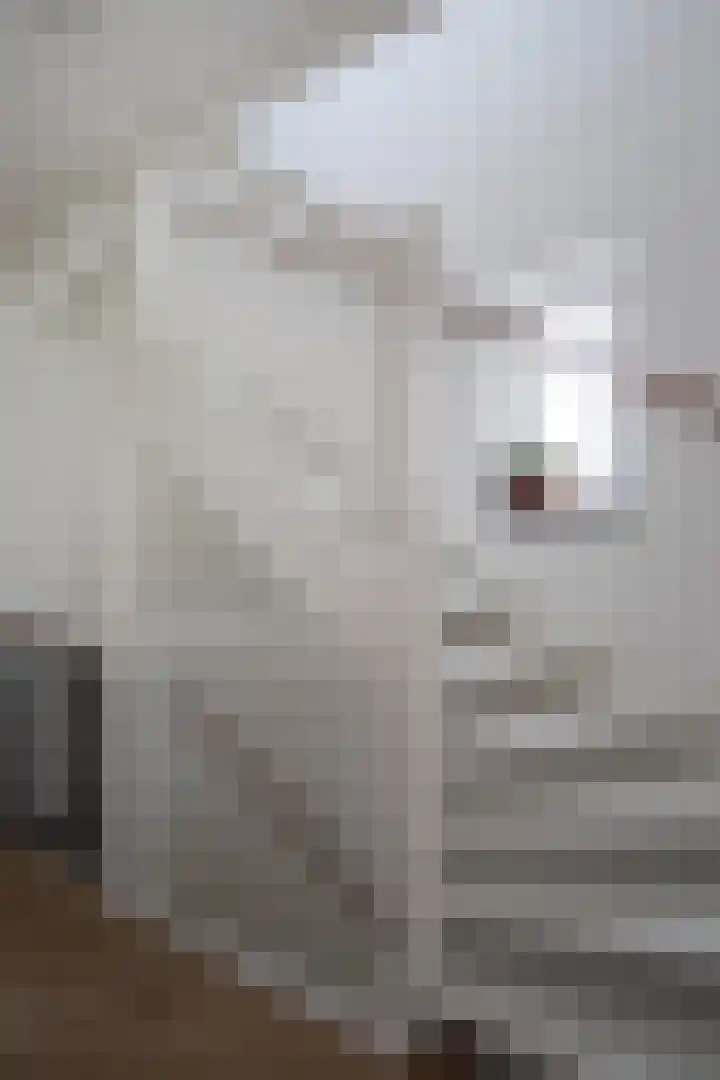 Lucashoef 8 Oost West en Middelbeers thumbnail 16