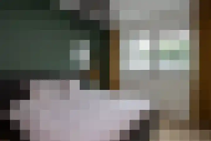 Lucashoef 8 Oost West en Middelbeers thumbnail 17