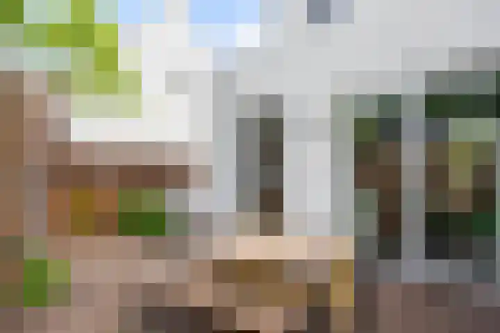 Lucashoef 8 Oost West en Middelbeers thumbnail 27