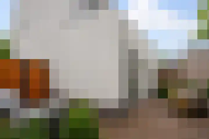 Lucashoef 8 Oost West en Middelbeers thumbnail 28