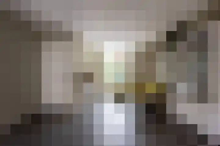 Lucashoef 8 Oost West en Middelbeers thumbnail 6