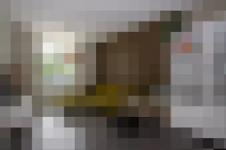 Lucashoef 8 Oost West en Middelbeers thumbnail 7