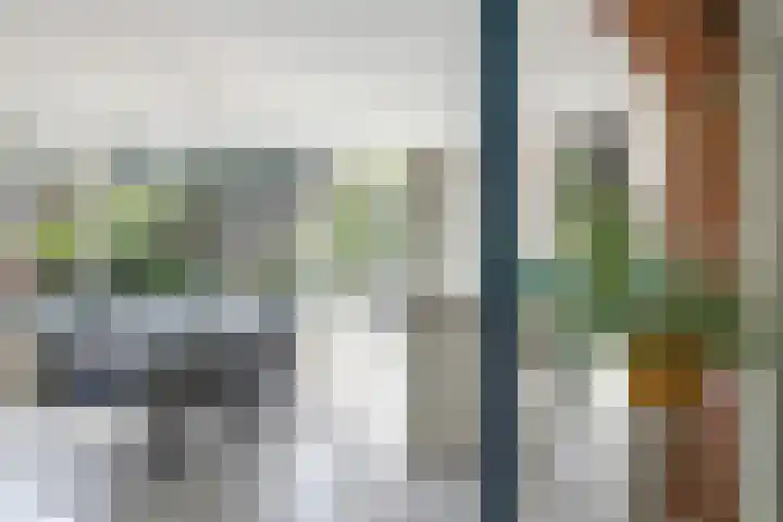 Lucaslaan 15 Heilig Landstichting thumbnail 16