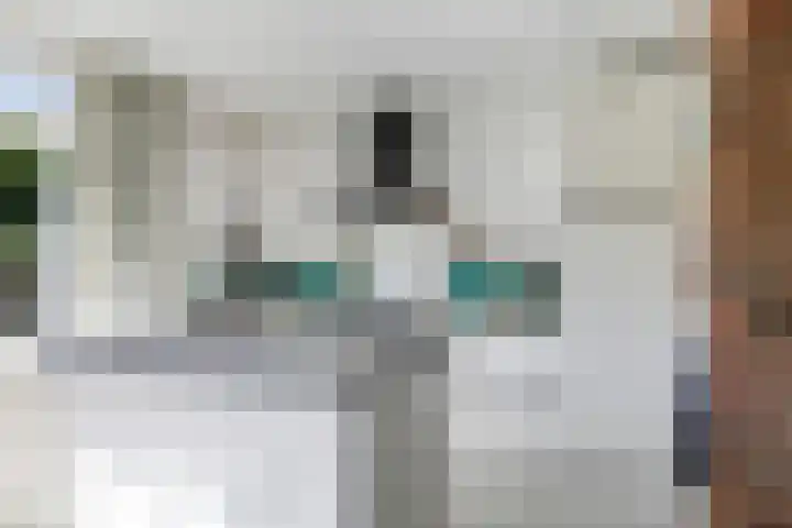 Lucaslaan 15 Heilig Landstichting thumbnail 17
