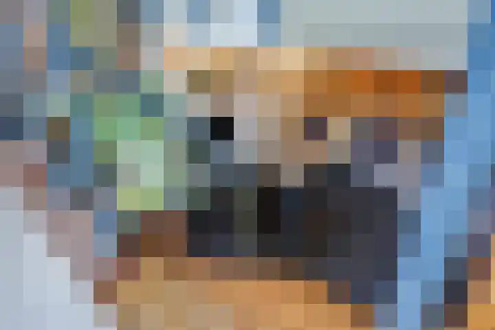 Lucaslaan 15 Heilig Landstichting thumbnail 30
