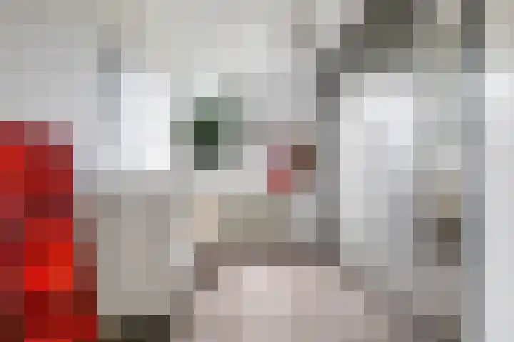 Lucaslaan 15 Heilig Landstichting thumbnail 50