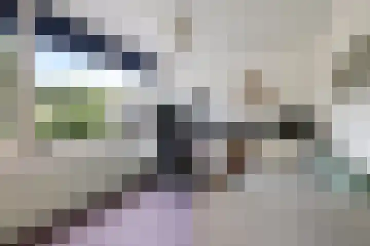 Lucaslaan 15 Heilig Landstichting thumbnail 51