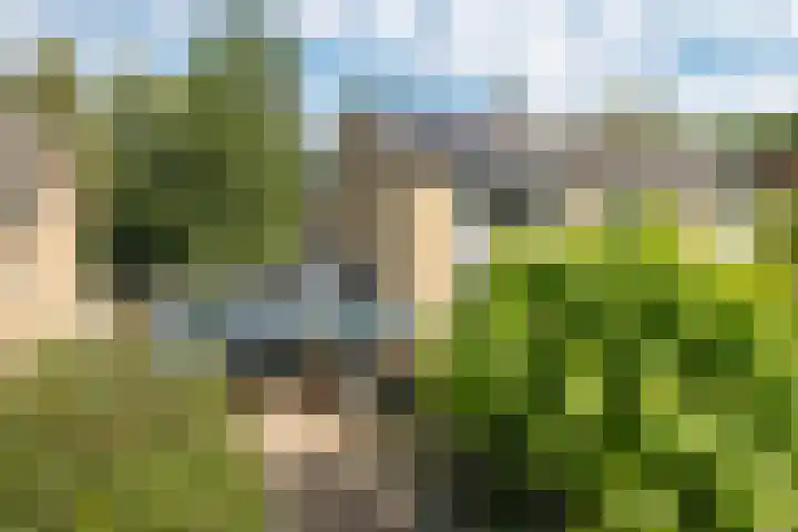 Lucaslaan 15 Heilig Landstichting thumbnail 6