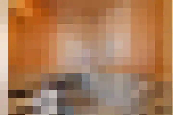 Lucaslaan 15 Heilig Landstichting thumbnail 68