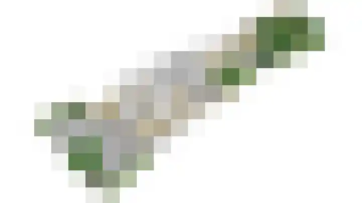 Lucaslaan 15 Heilig Landstichting thumbnail 70