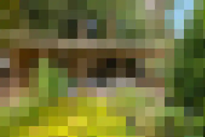 Lucaslaan 15 Heilig Landstichting thumbnail 74