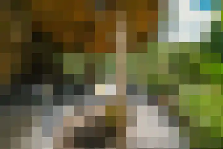 Lucaslaan 15 Heilig Landstichting thumbnail 75
