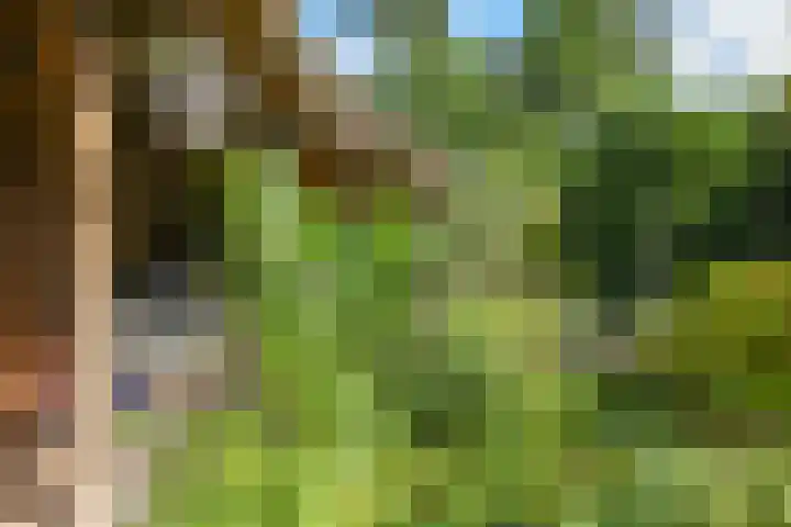 Lucaslaan 15 Heilig Landstichting thumbnail 77