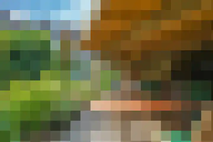 Lucaslaan 15 Heilig Landstichting thumbnail 79