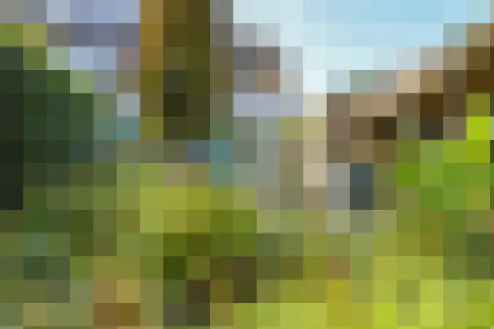 Lucaslaan 15 Heilig Landstichting thumbnail 80