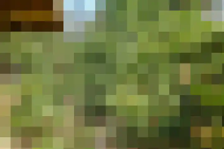 Lucaslaan 15 Heilig Landstichting thumbnail 81