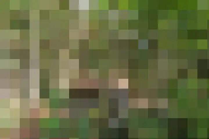 Lucaslaan 15 Heilig Landstichting thumbnail 82