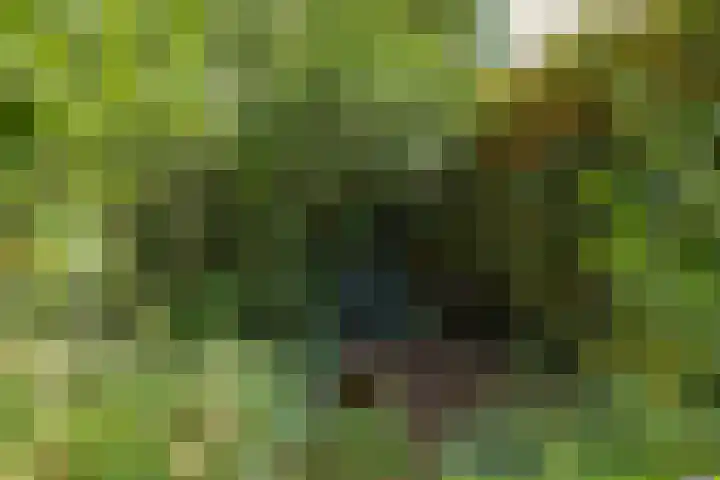 Lucaslaan 15 Heilig Landstichting thumbnail 83