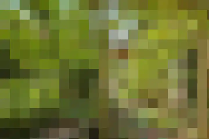 Lucaslaan 15 Heilig Landstichting thumbnail 84