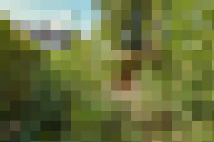 Lucaslaan 15 Heilig Landstichting thumbnail 85