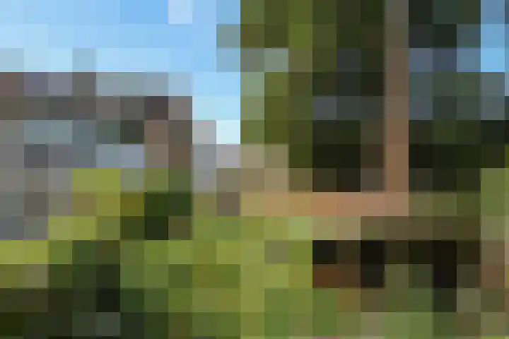 Lucaslaan 15 Heilig Landstichting thumbnail 86