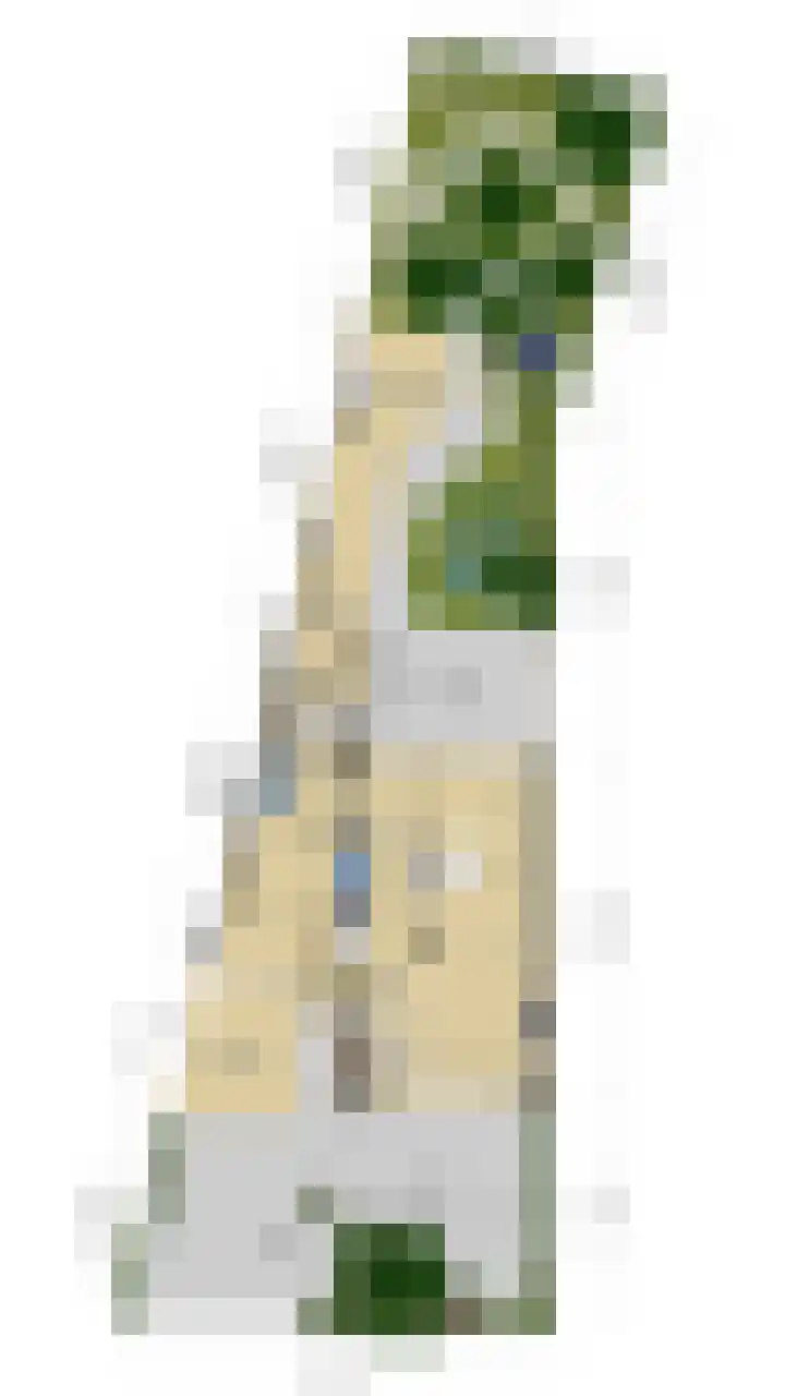 Lucaslaan 15 Heilig Landstichting thumbnail 9