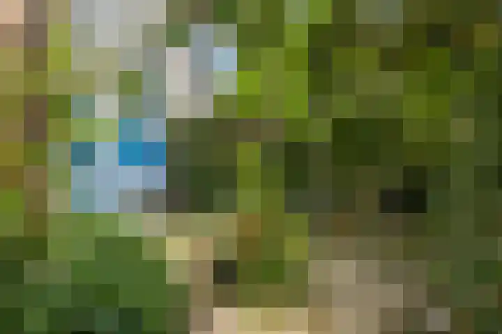 Lucaslaan 15 Heilig Landstichting thumbnail 90
