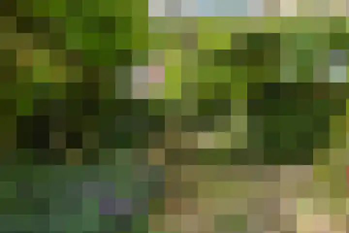 Lucaslaan 15 Heilig Landstichting thumbnail 91