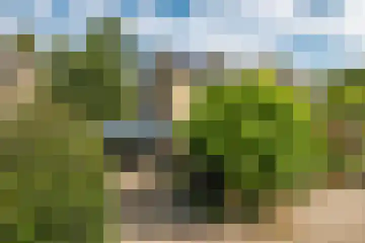 Lucaslaan 15 Heilig Landstichting thumbnail 94