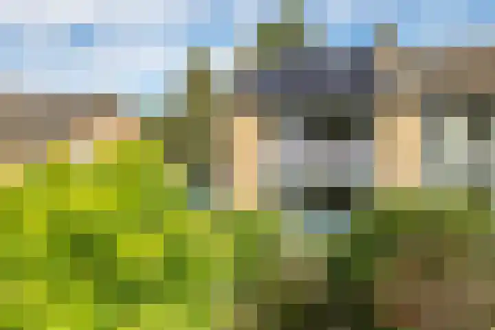 Lucaslaan 15 Heilig Landstichting thumbnail 95