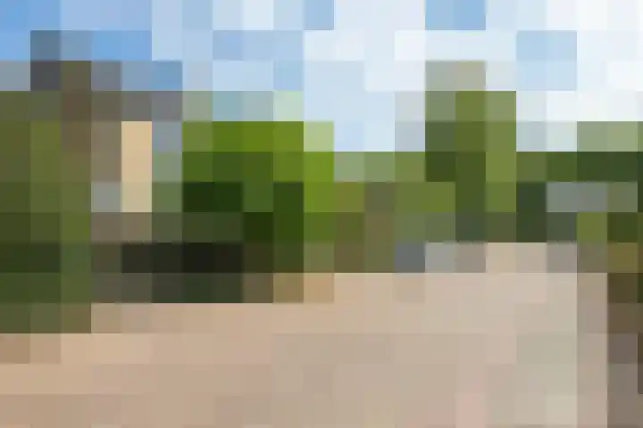 Lucaslaan 15 Heilig Landstichting thumbnail 96
