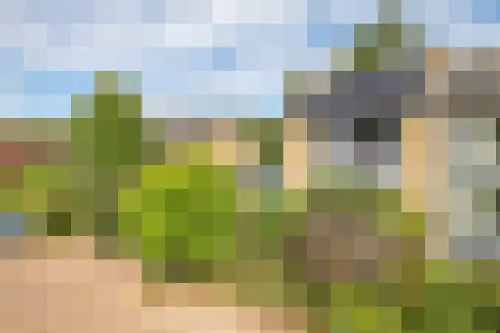 Lucaslaan 15 Heilig Landstichting thumbnail 97