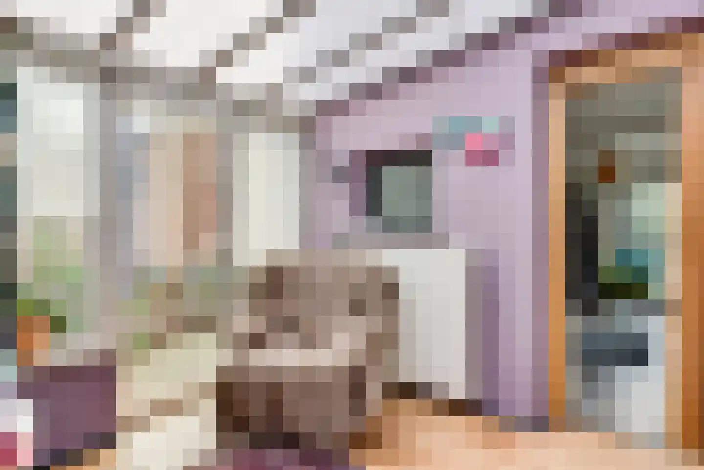 Lucasstraat 6 Swalmen thumbnail 13