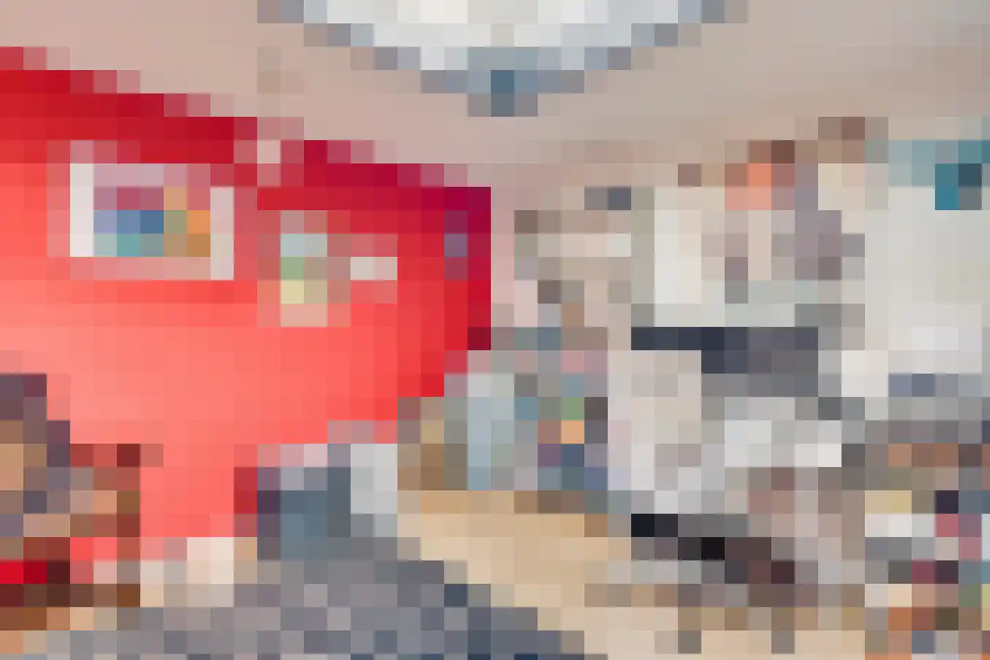 Lucasstraat 6 Swalmen thumbnail 14