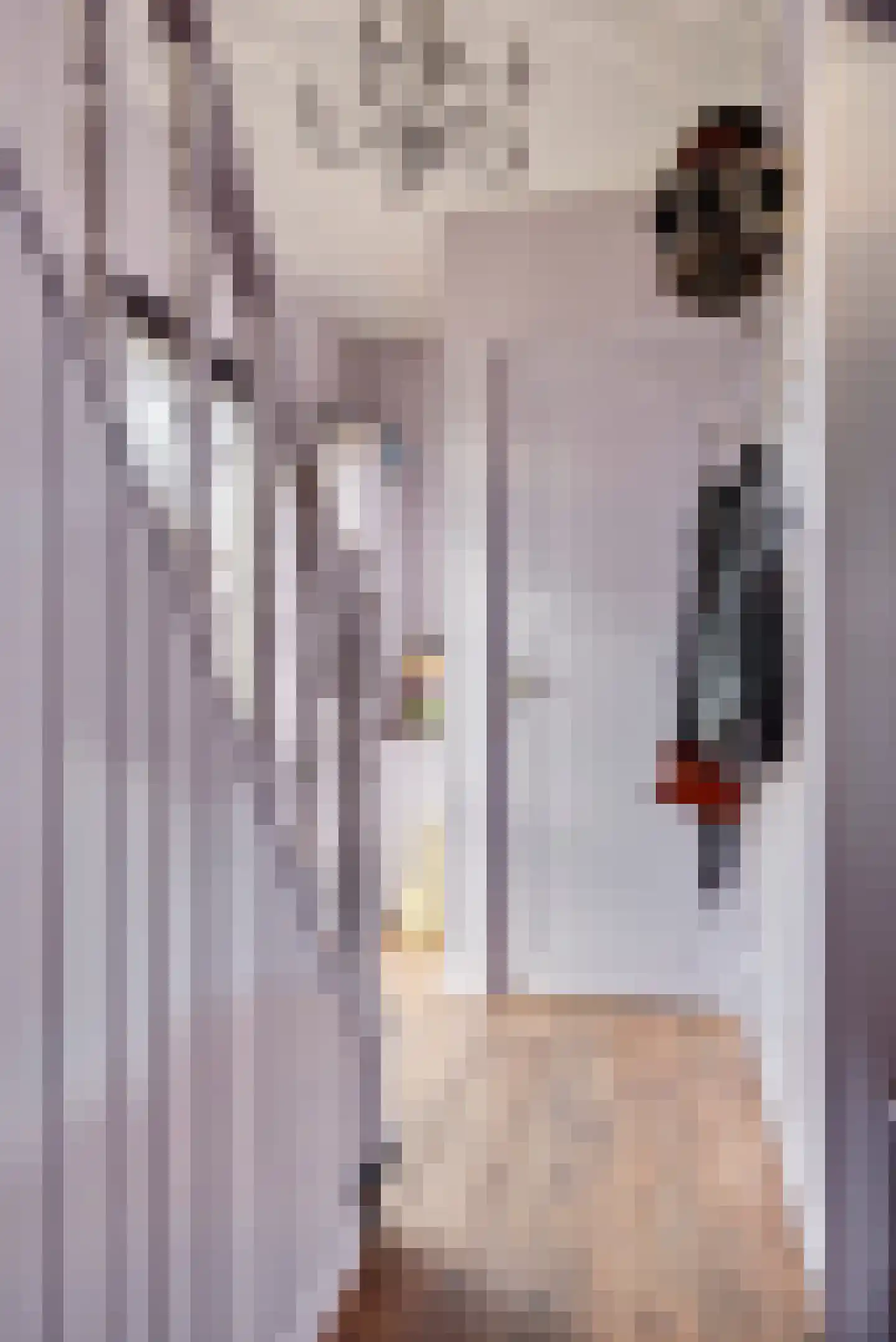 Lucasstraat 6 Swalmen thumbnail 18