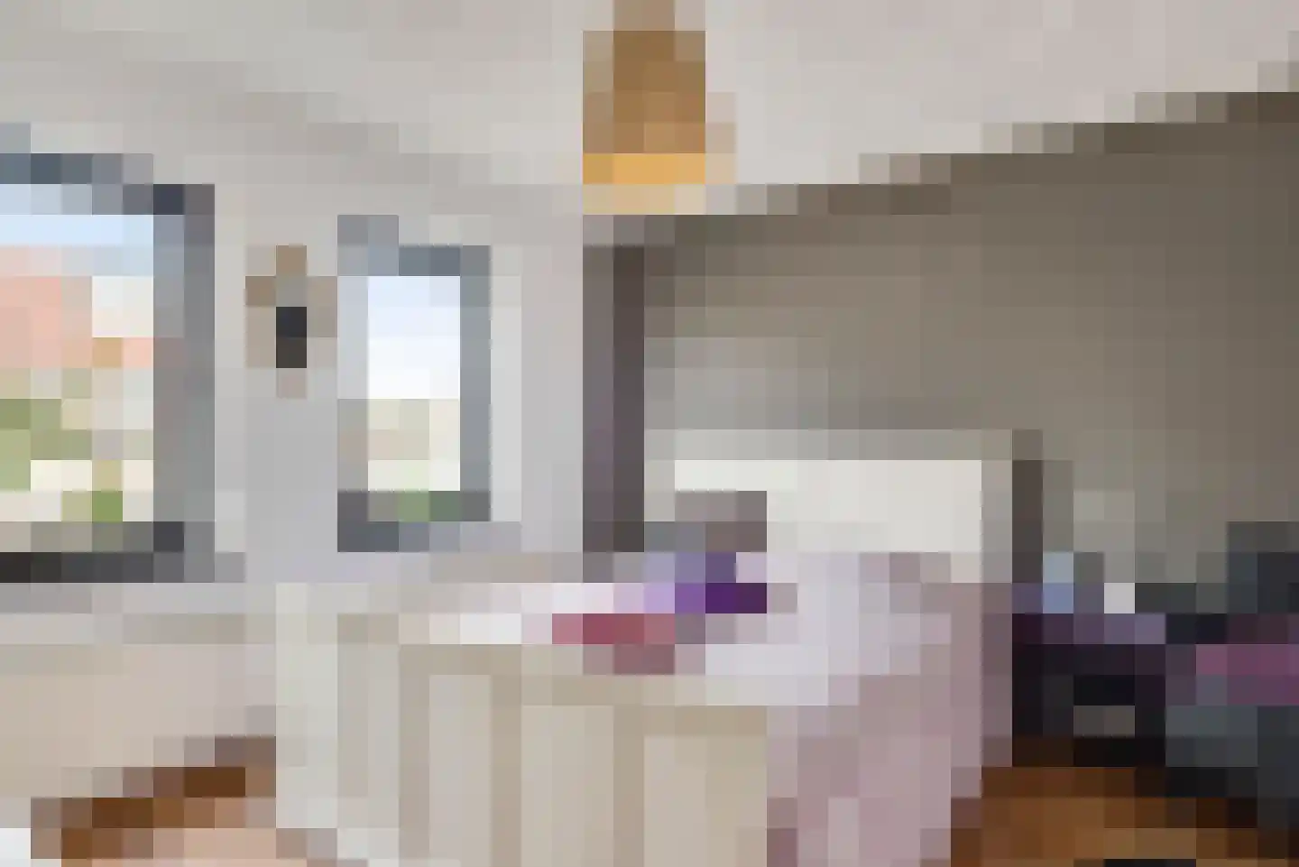 Lucasstraat 6 Swalmen thumbnail 21