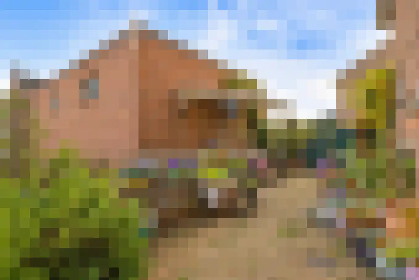 Lucasstraat 6 Swalmen thumbnail 32