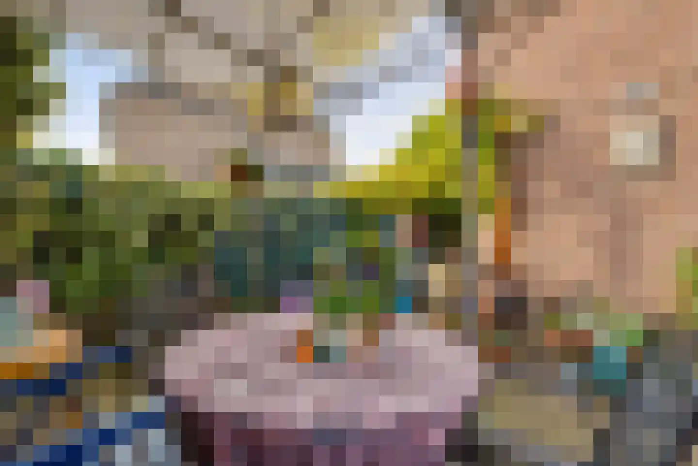 Lucasstraat 6 Swalmen thumbnail 33