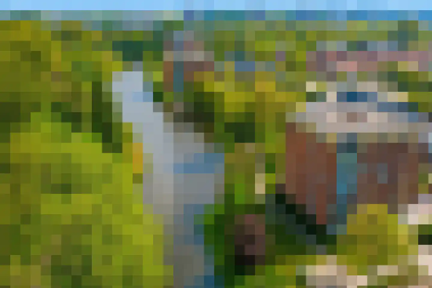 Luceberthof 3 Heemskerk thumbnail 52