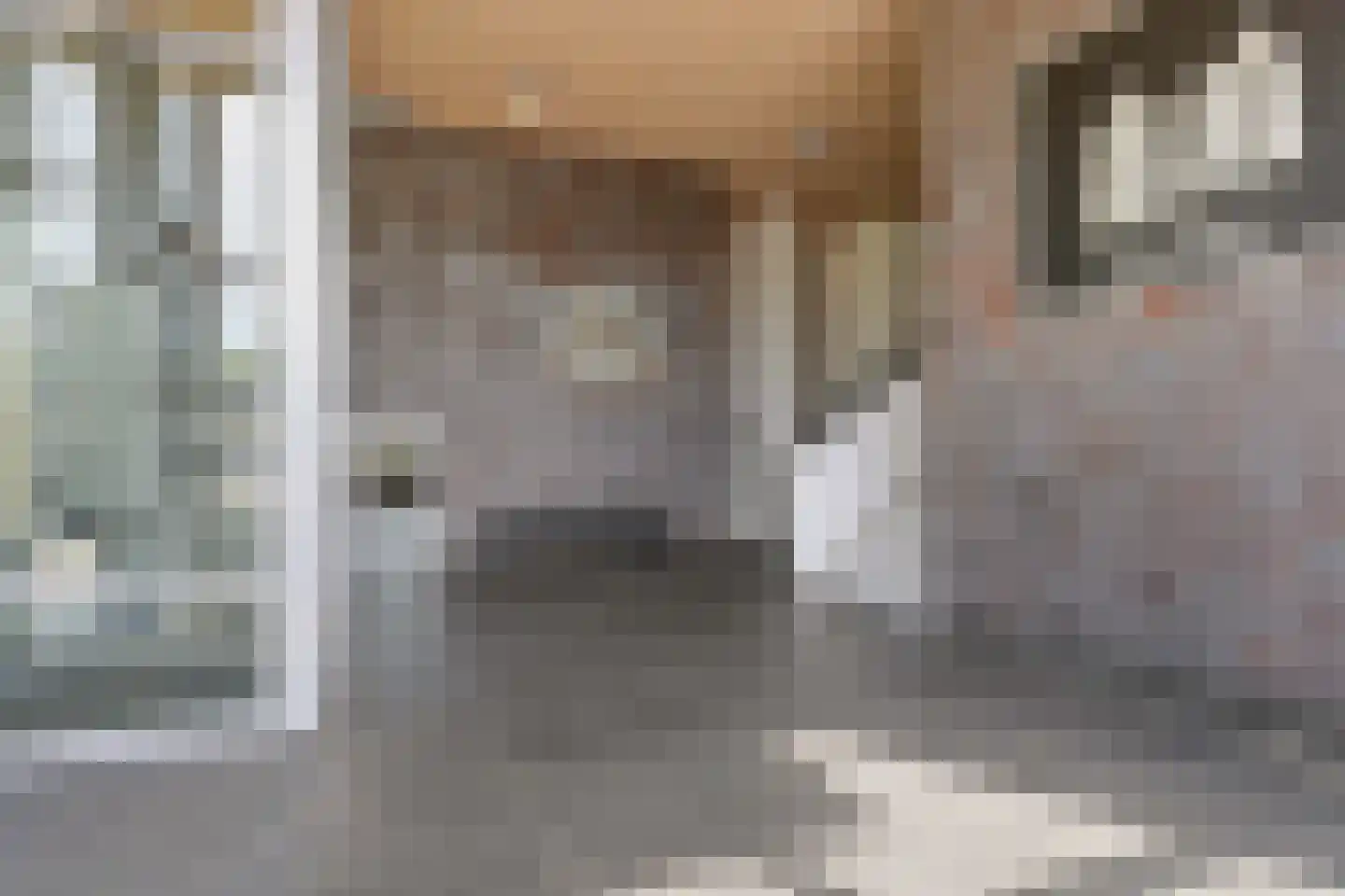 Luceberthof 3 Heemskerk thumbnail 6