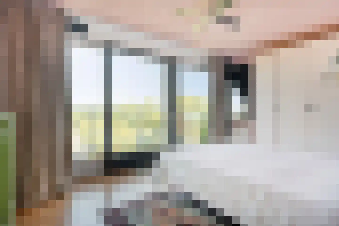 Luceberthof 47 Heemskerk thumbnail 20