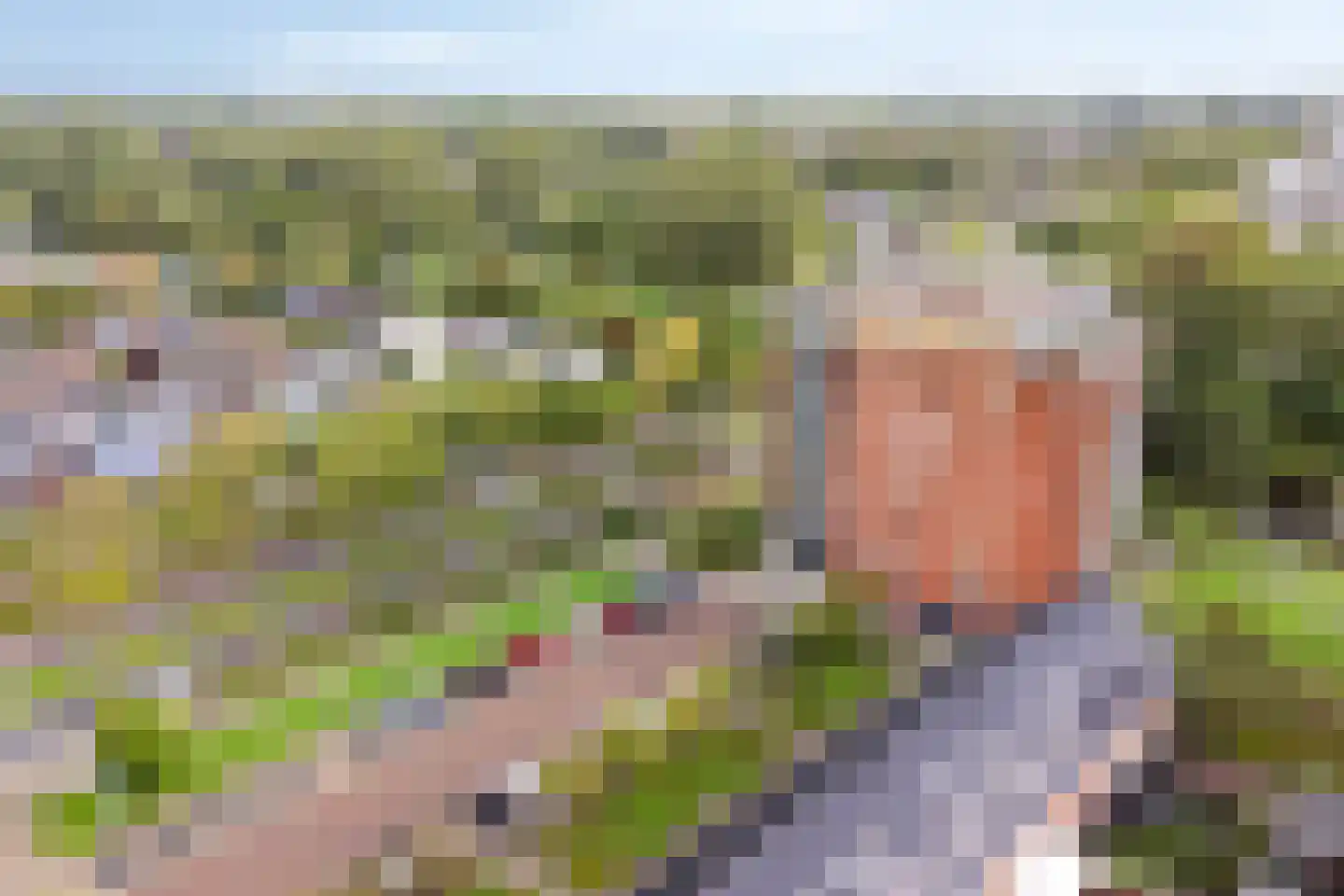 Luceberthof 47 Heemskerk thumbnail 34