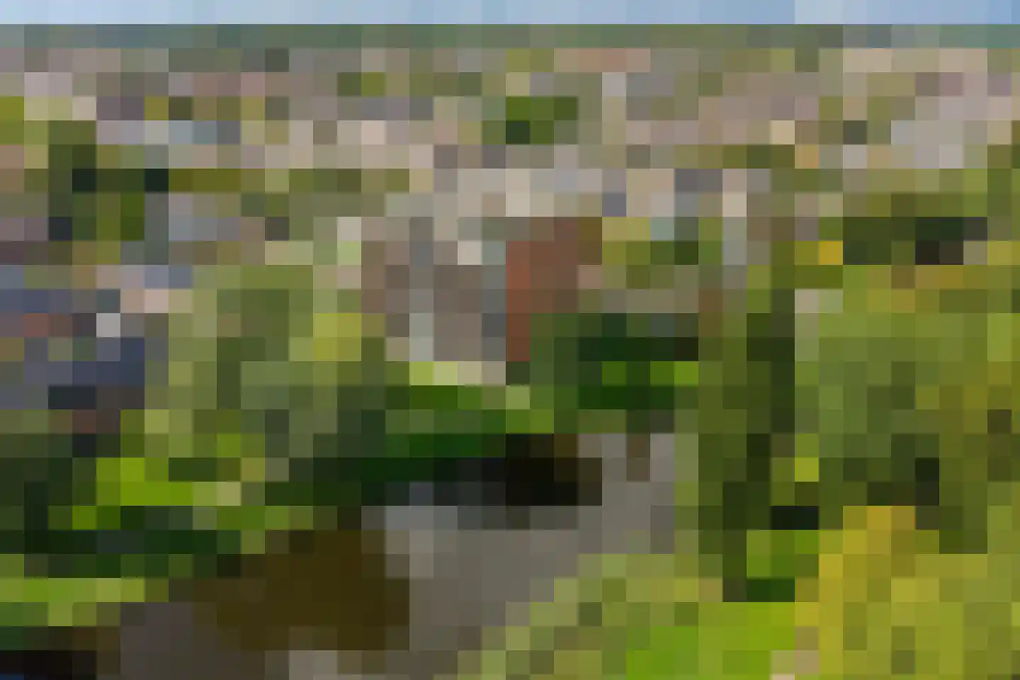 Luceberthof 47 Heemskerk thumbnail 36