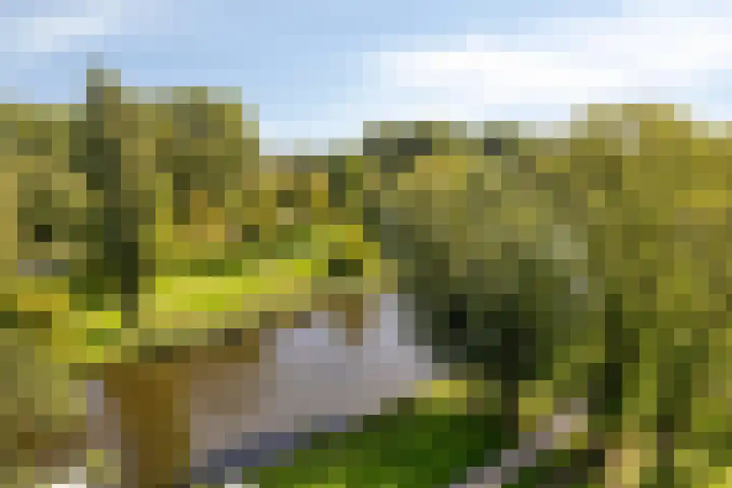 Luceberthof 47 Heemskerk thumbnail 9