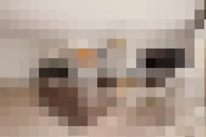 Lucebertlaan 4 Amstelveen thumbnail 15