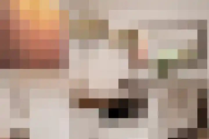 Lucebertlaan 4 Amstelveen thumbnail 19